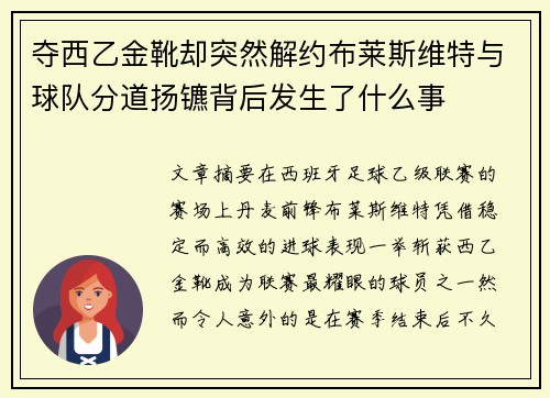 夺西乙金靴却突然解约布莱斯维特与球队分道扬镳背后发生了什么事 夺西乙金靴却突然解约布莱斯维特与球队分道扬镳背后发生了什么事
